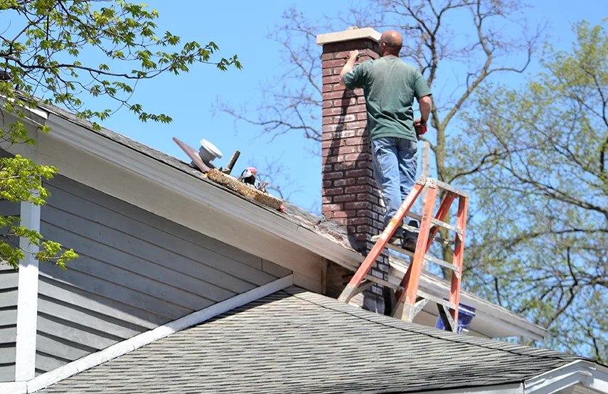 Chimney & Fireplace Inspections Services in Riverdale, GA